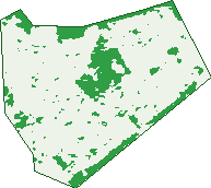 Where the trees are in Greenfield Park
