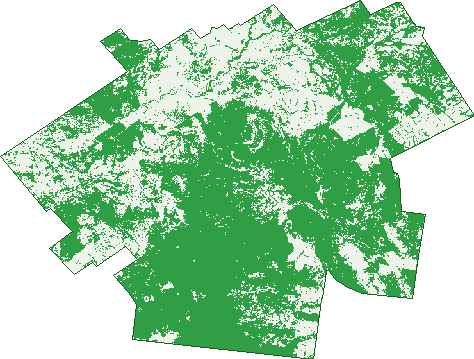 Where the trees are in Sandy Creek
