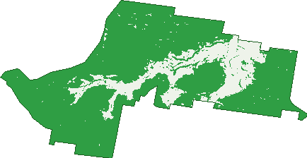 Where the trees are in Ginghi