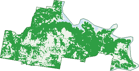 Where the trees are in Mookerawa