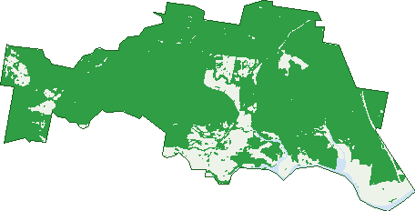 Where the trees are in Pembrooke