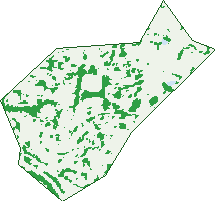 Where the trees are in Mckellar