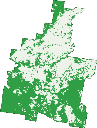 Where the trees are in Sofala