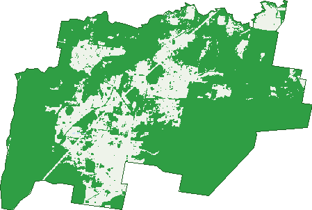 Where the trees are in Ellangowan