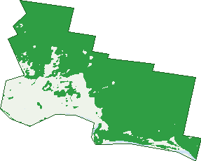 Where the trees are in Reedy Swamp