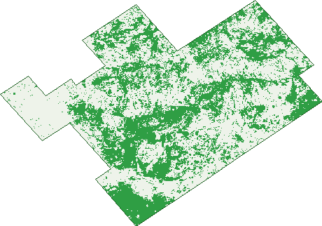 Where the trees are in Bulla