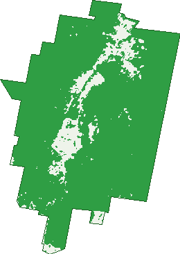 Where the trees are in Creewah