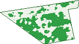 Where the trees are in Euabalong West