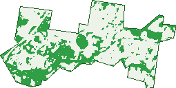 Where the trees are in Talofa