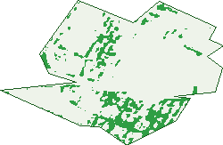 Where the trees are in Homebush West