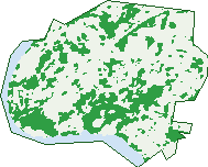 Where the trees are in East Hills