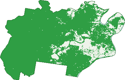 Where the trees are in Lionsville