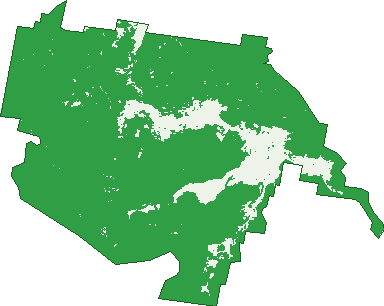 Where the trees are in Growee