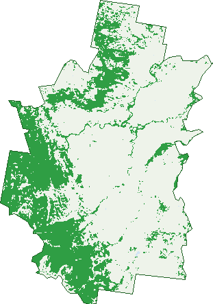 Where the trees are in Mayvale