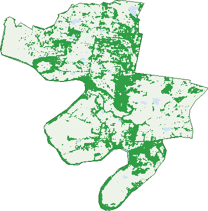 Where the trees are in Cobbitty