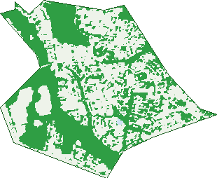 Where the trees are in Beaumont Hills