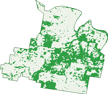 Where the trees are in Brookfield
