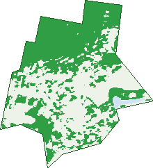 Where the trees are in East Gosford