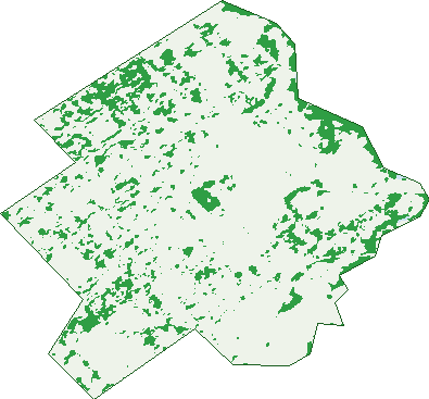 Where the trees are in Bathurst