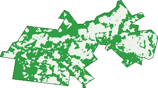 Where the trees are in Kurmond