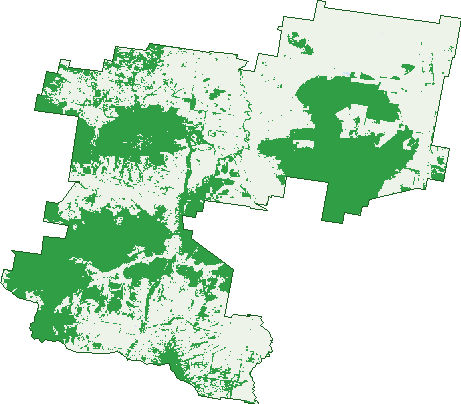 Where the trees are in Tambar Springs