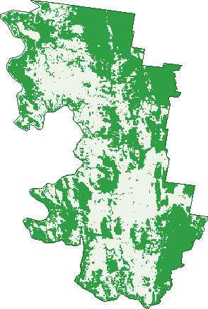 Where the trees are in Triamble