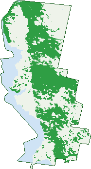 Where the trees are in Kalkite