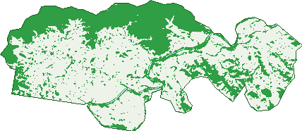 Where the trees are in Bulliac