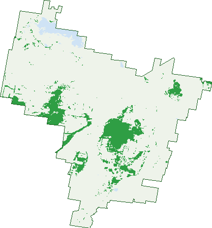 Where the trees are in Spring Ridge
