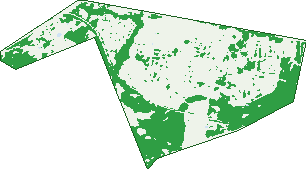 Where the trees are in Edmondson Park
