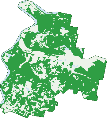 Where the trees are in Cattai