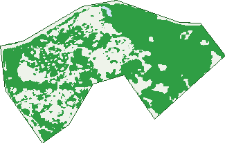 Where the trees are in O'malley