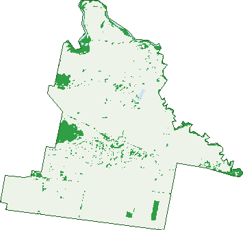 Where the trees are in Forest Hill