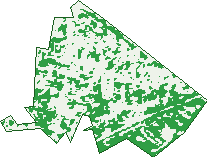 Where the trees are in Constitution Hill