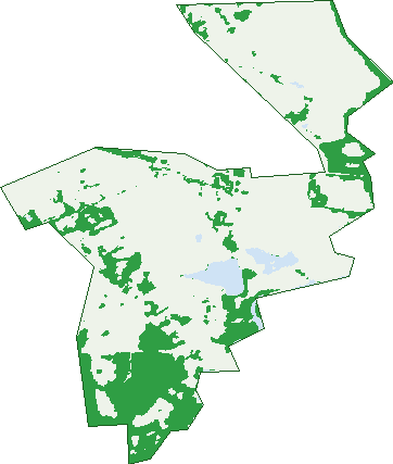 Where the trees are in Clarendon