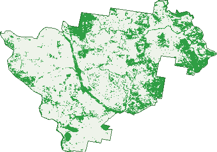 Where the trees are in Abington