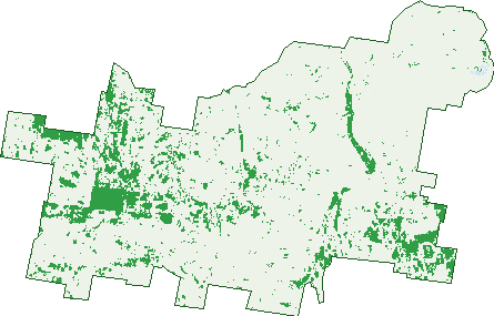 Where the trees are in Llangothlin