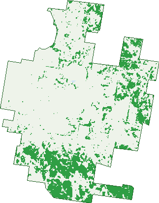 Where the trees are in Tubbamurra