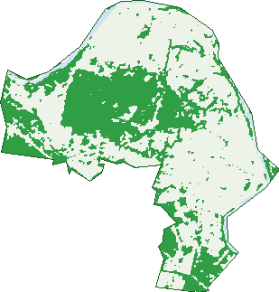 Where the trees are in Sherwood