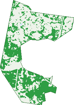 Where the trees are in Cecil Park