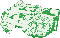 Where the trees are in Glenfield