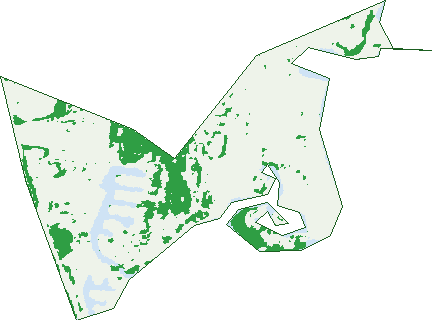 Where the trees are in Tweed Heads