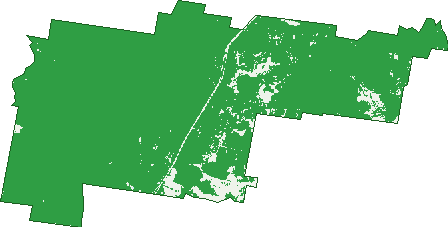 Where the trees are in Tabbimoble