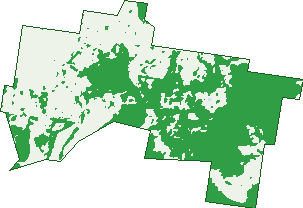 Where the trees are in Naughtons Gap
