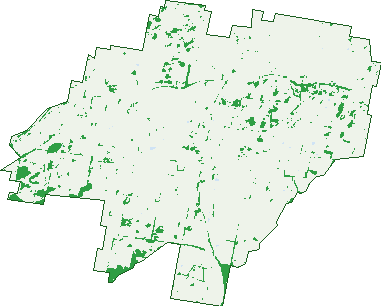 Where the trees are in Hobbys Yards
