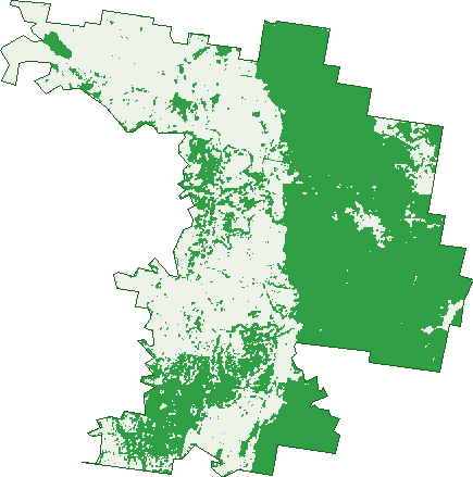 Where the trees are in Wisemans Creek