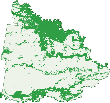 Where the trees are in Calimo
