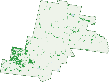 Where the trees are in Tallwood