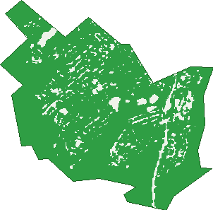 Where the trees are in West Pymble