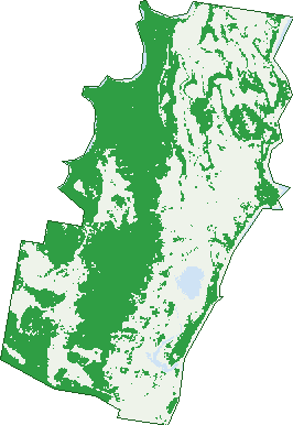 Where the trees are in Yuraygir